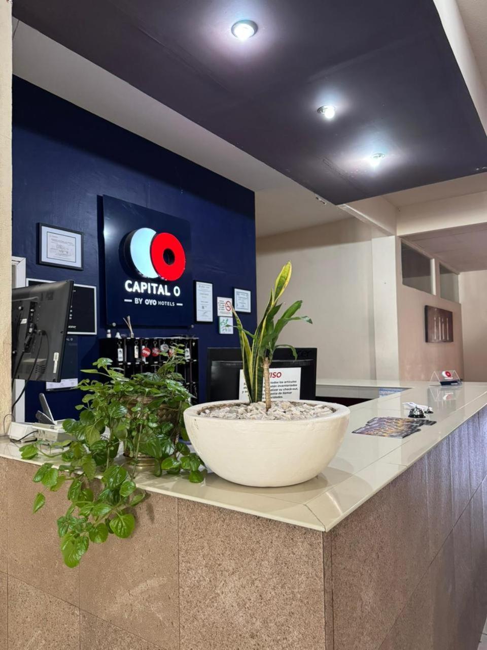 Hotel Marney Ακουασκαλιέντες Εξωτερικό φωτογραφία