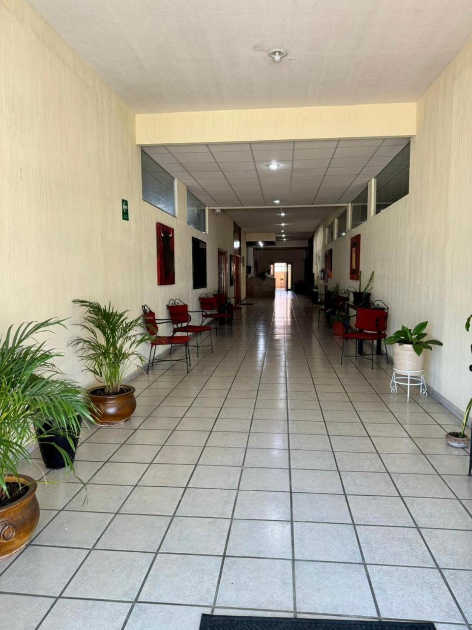 Hotel Marney Ακουασκαλιέντες Εξωτερικό φωτογραφία